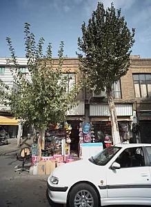 اسباب بازی فروشی