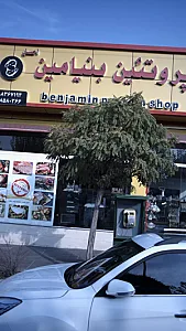 پروتئین بنیامین