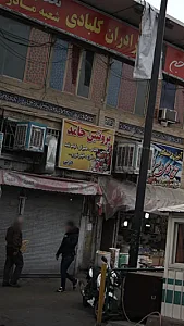 پروتئین حامد