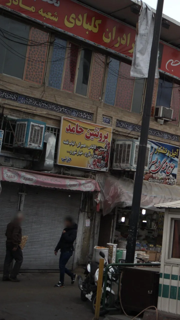 پروتئین حامد