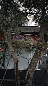 پروتئین سینا