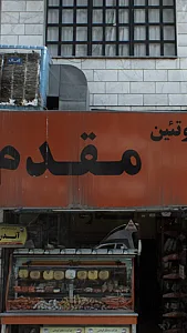 پروتیین مقدم