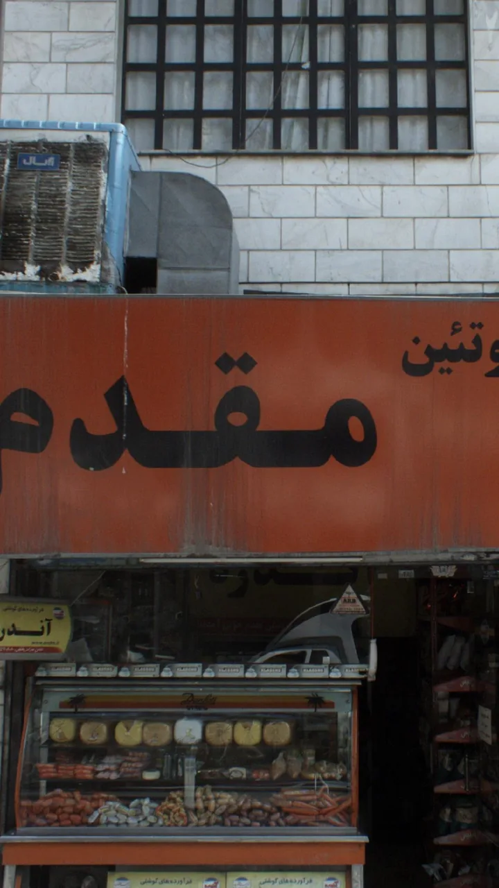 پروتیین مقدم