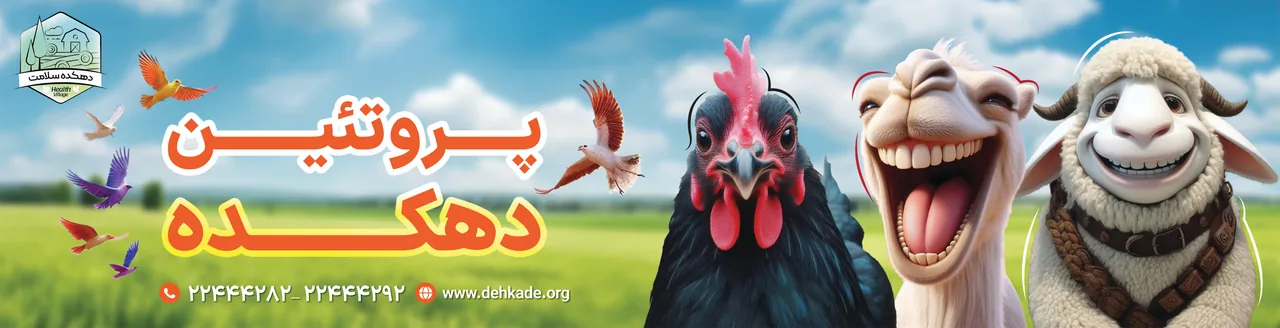 پروتئین دهکده سلامت شعبه 2