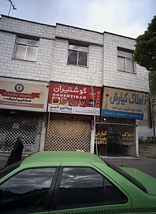 پروتئین امیر