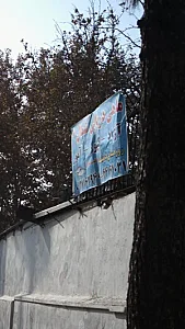 ماهی دریای شمال
