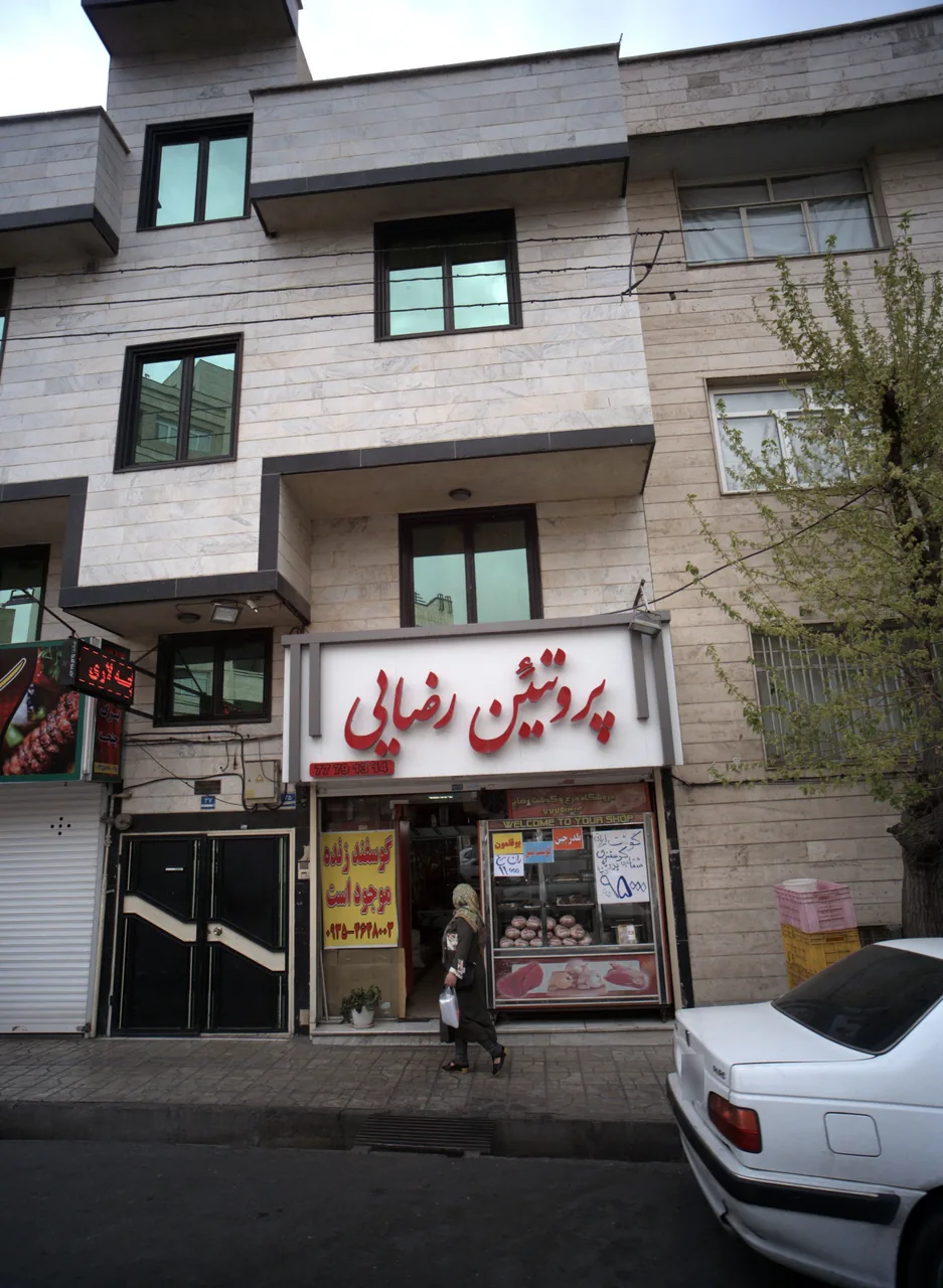 پروتئین رضایی