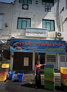 پارسا پروتئین سفید بال