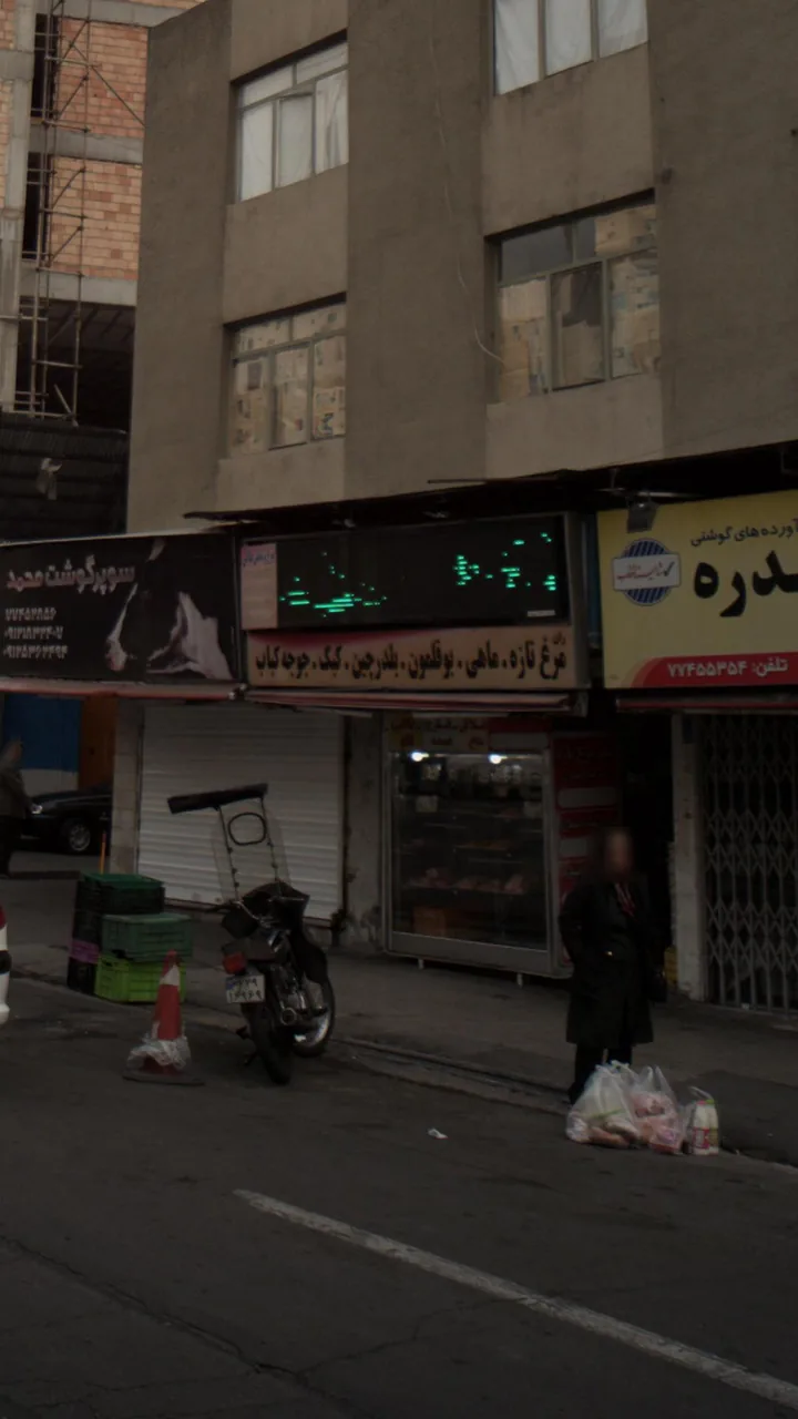 مرغ-ماهی