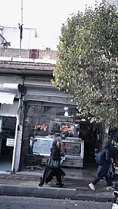 گوشت پارس