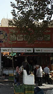 مجتمع پروتینی بلوط