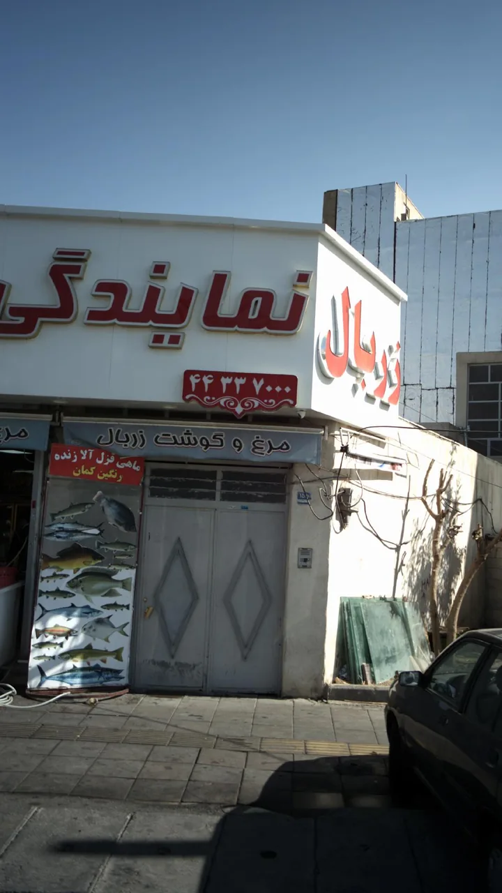 نمایندگی مرغ وگوشت