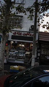 پروتئین برادران یزدی