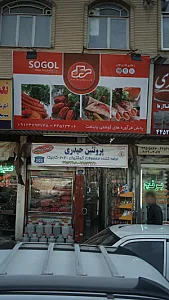 پروتئین حیدری