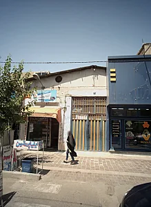 ایلیا پروتئین