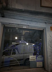 گوشت مرغ سعید