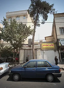 پروتئین روژینا