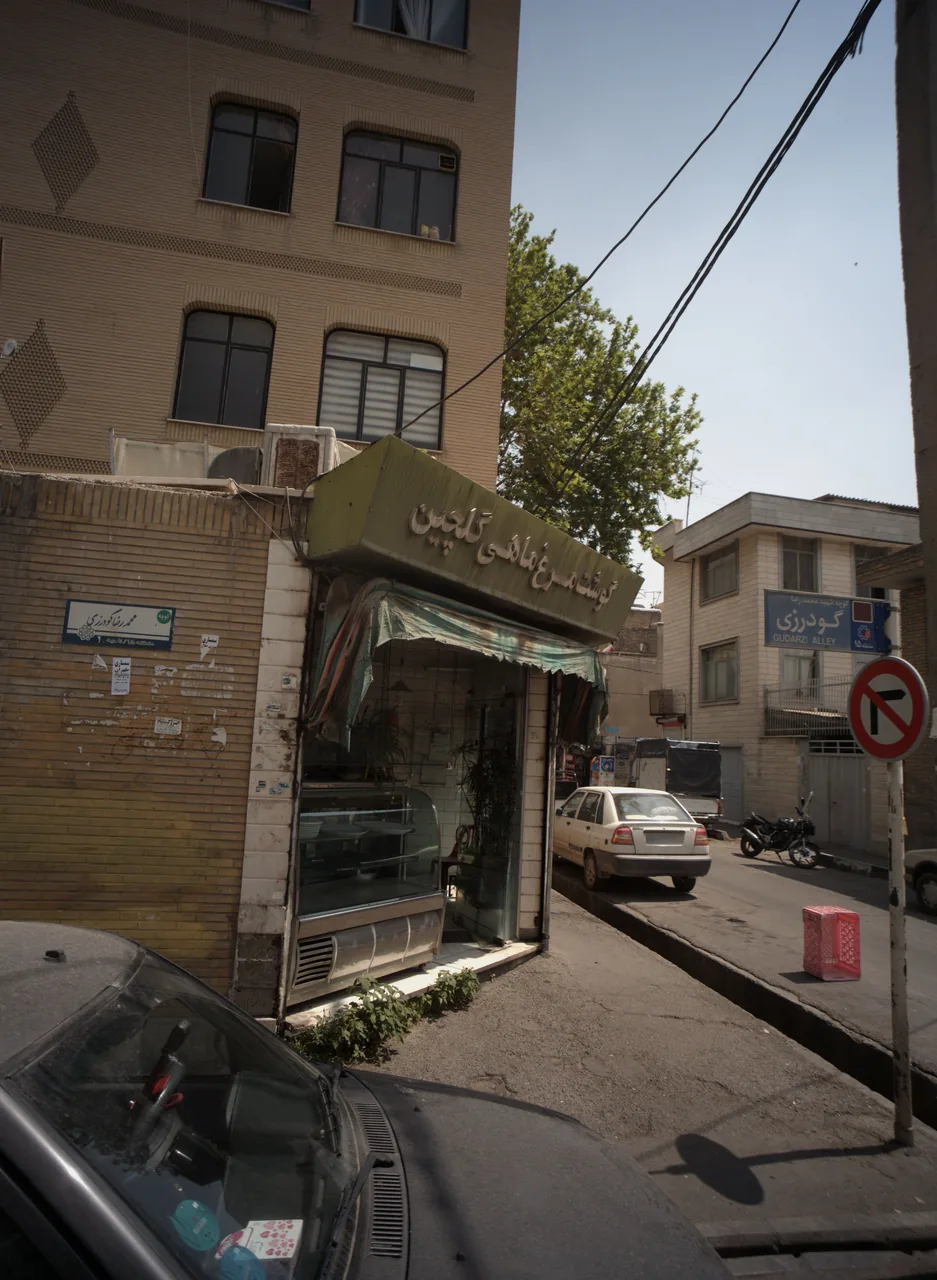 گوشت مرغ ماهی گلچین