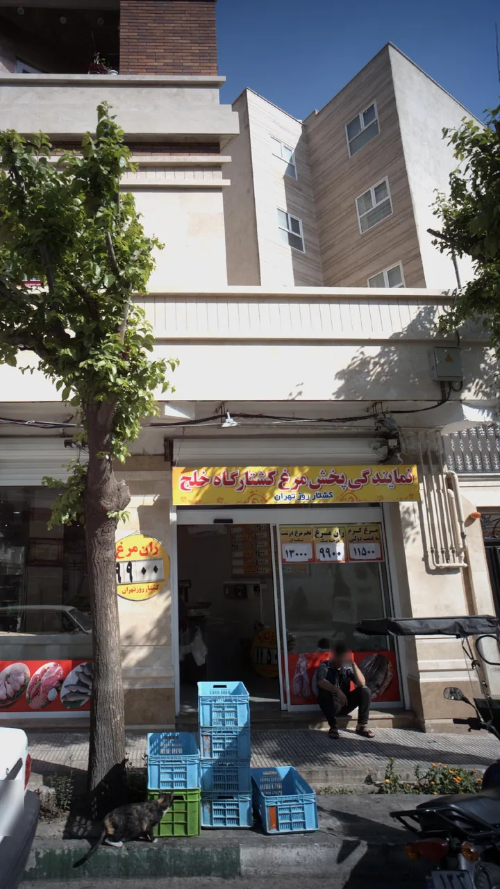 نمایندگی پخش مرغ کشتارگاه خلج