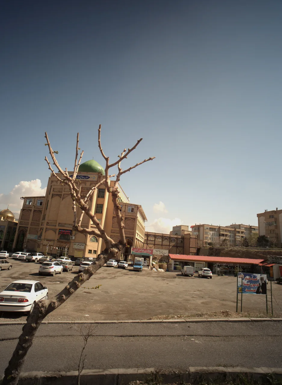 پروتئین لوکس کبیر