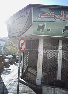 بازارچه گوشت ولی عصر
