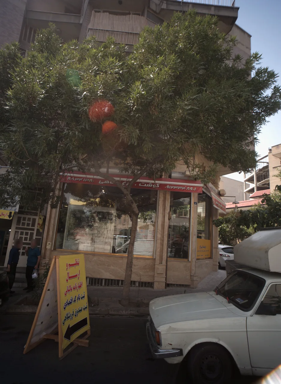 پروتئین مشاهیر