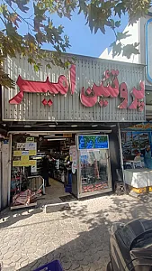 پروتئین امیر