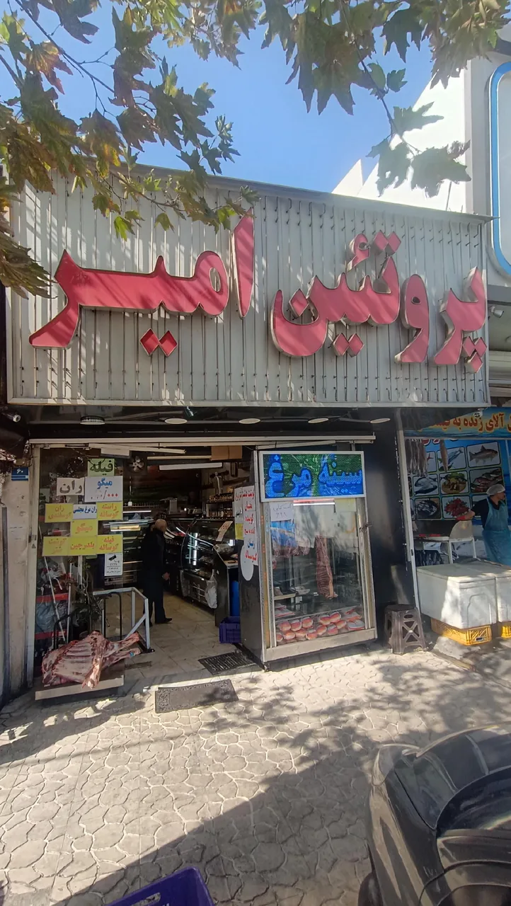 پروتئین امیر