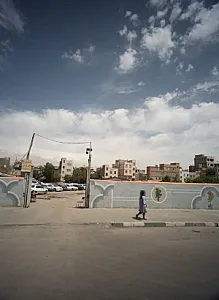 مرغ و خروس زنده