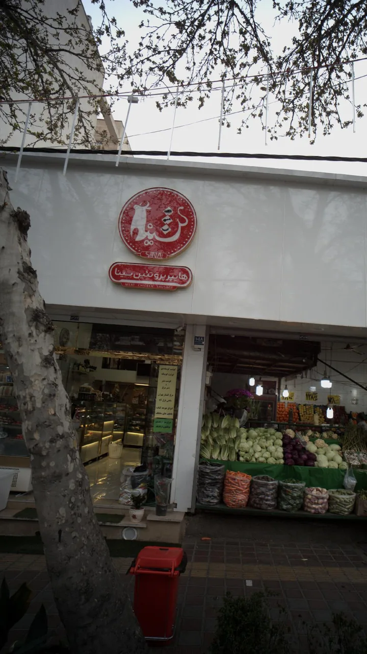 هایپر پروتئین سینا - تصویر 3