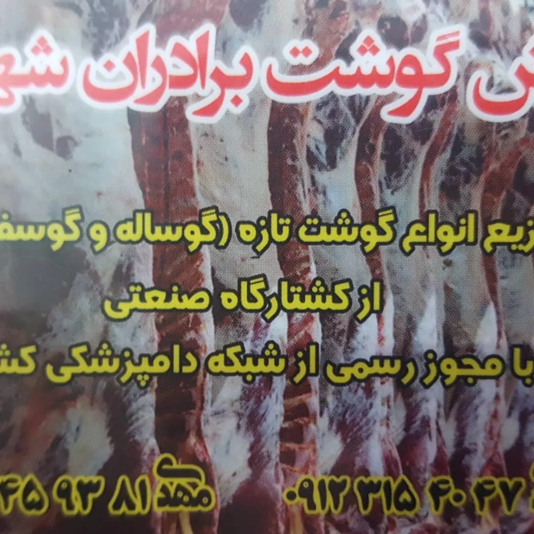 پروتئین برادران شهبازی - تصویر 4