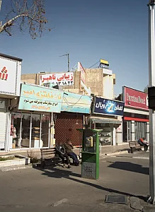 مرغ کشتار روز تهران