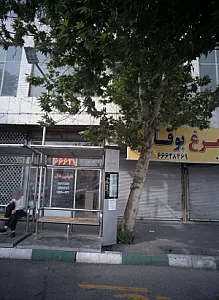 مرغ و بوقلمون