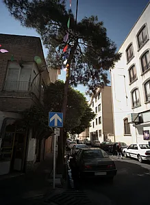 مواد پروتئین