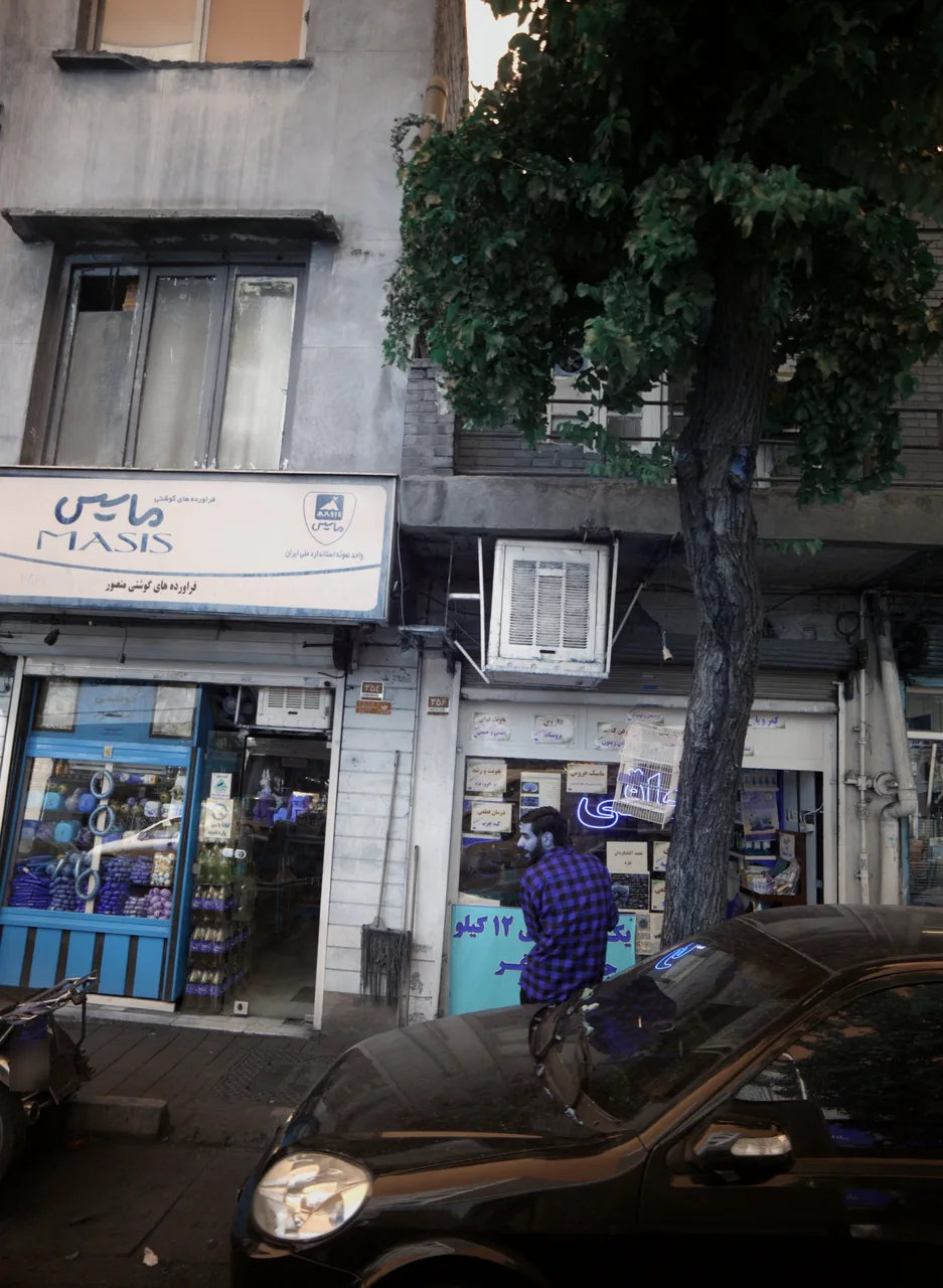 ماسیس