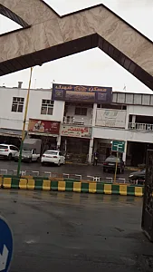 گوشت وماهی مرغ