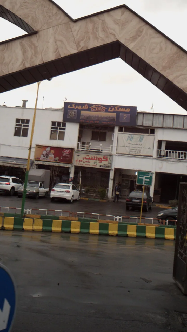 گوشت وماهی مرغ