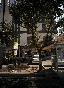 پروتئین پلاس