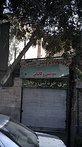پروتیین علی بابا