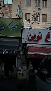 مرغ نوین