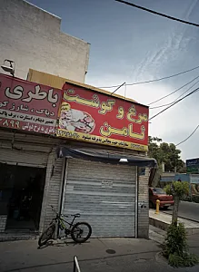 مرغ و گوشت ثامن