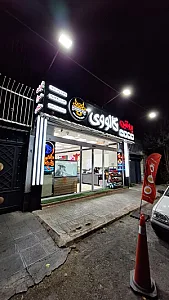 پروتئین گالووی