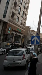پروتئین آصف