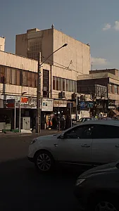 پروتئین صدر