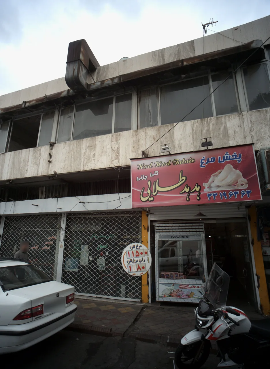 پخش مرغ هدهد طلایی