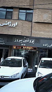 پروتئین پیروز