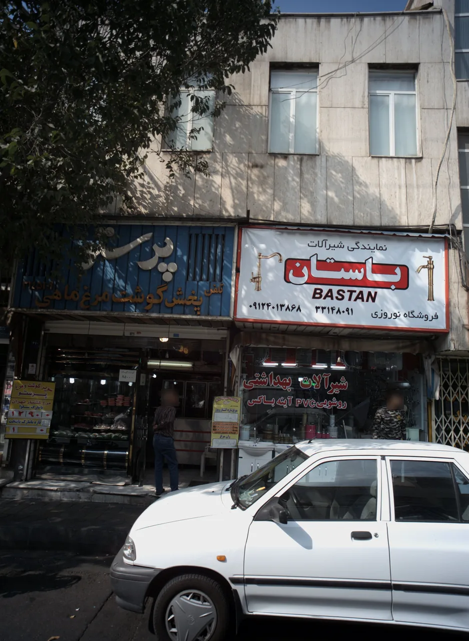 پرستو