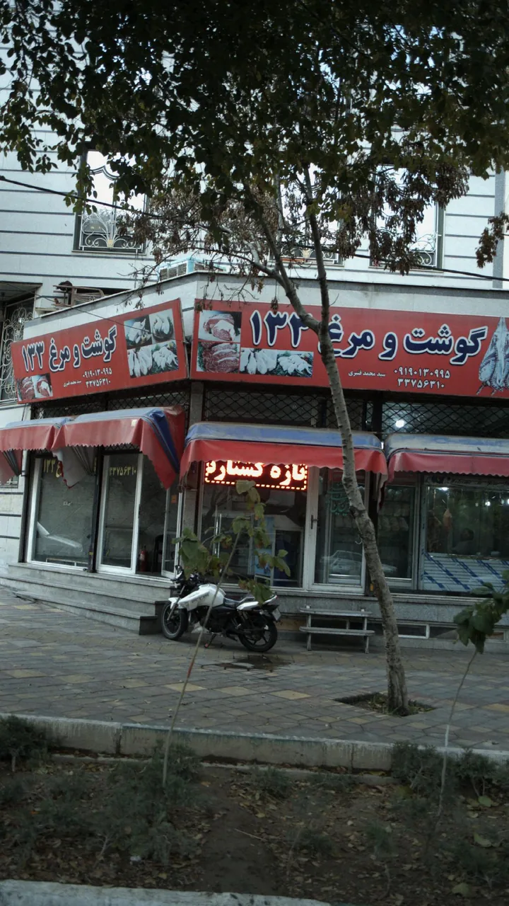 گوشت ومرغ ۱۳۳