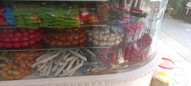 پروتئین مهراب شمس