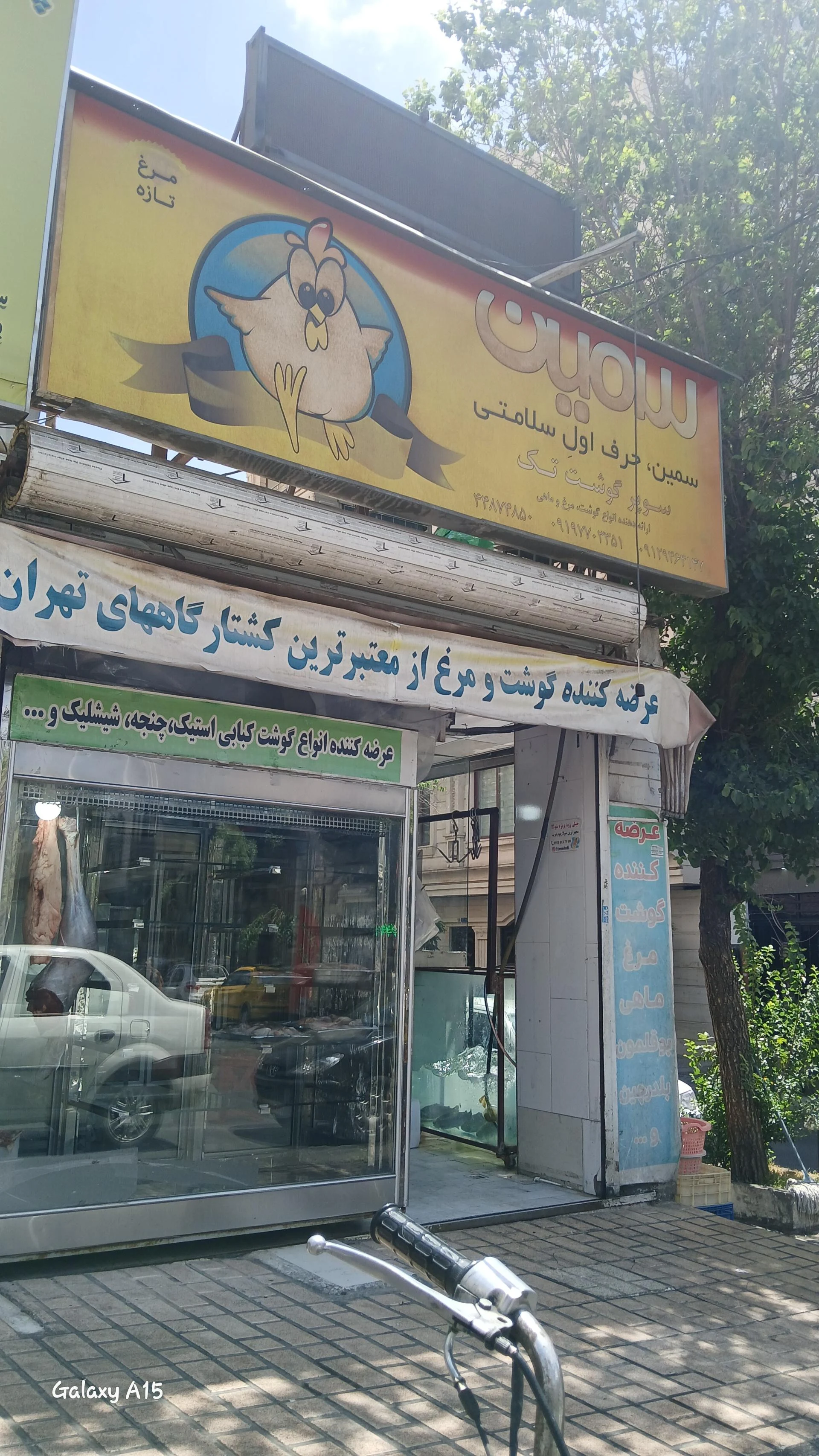 گوشت مرغ سامان